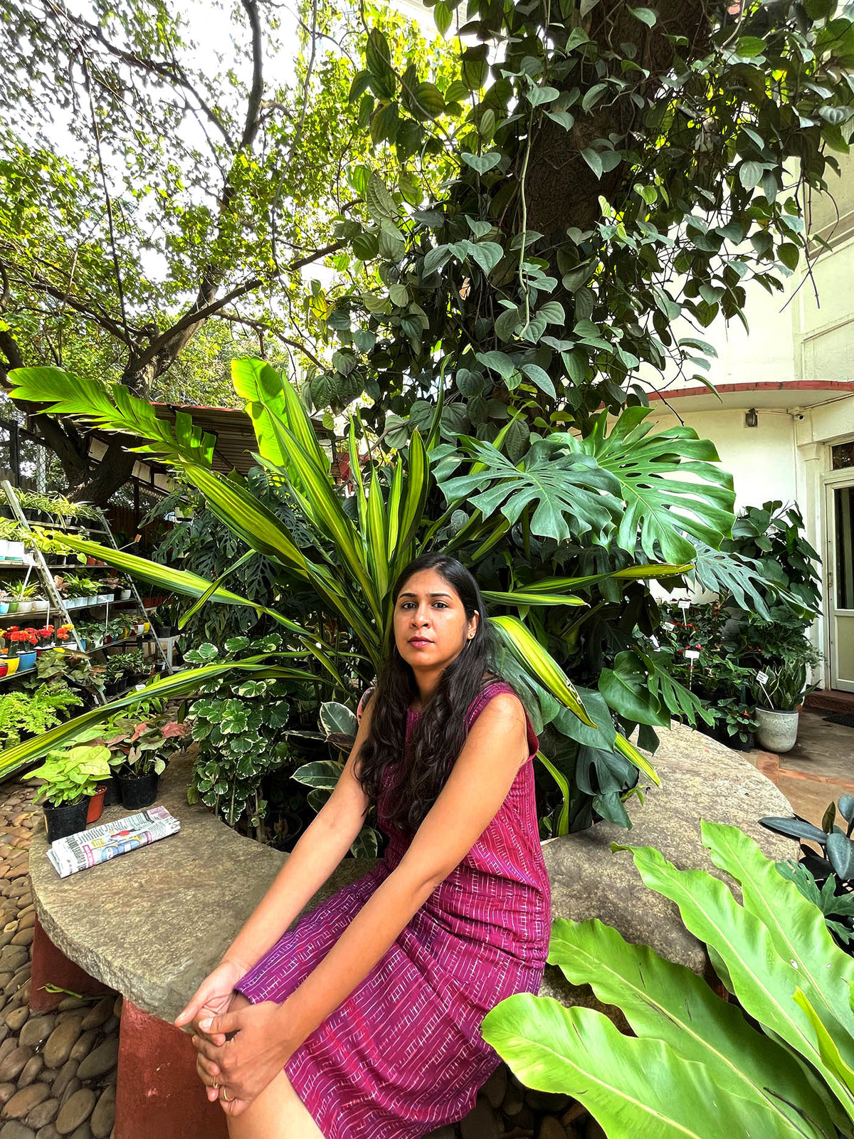Plum Line Frock // Ikat