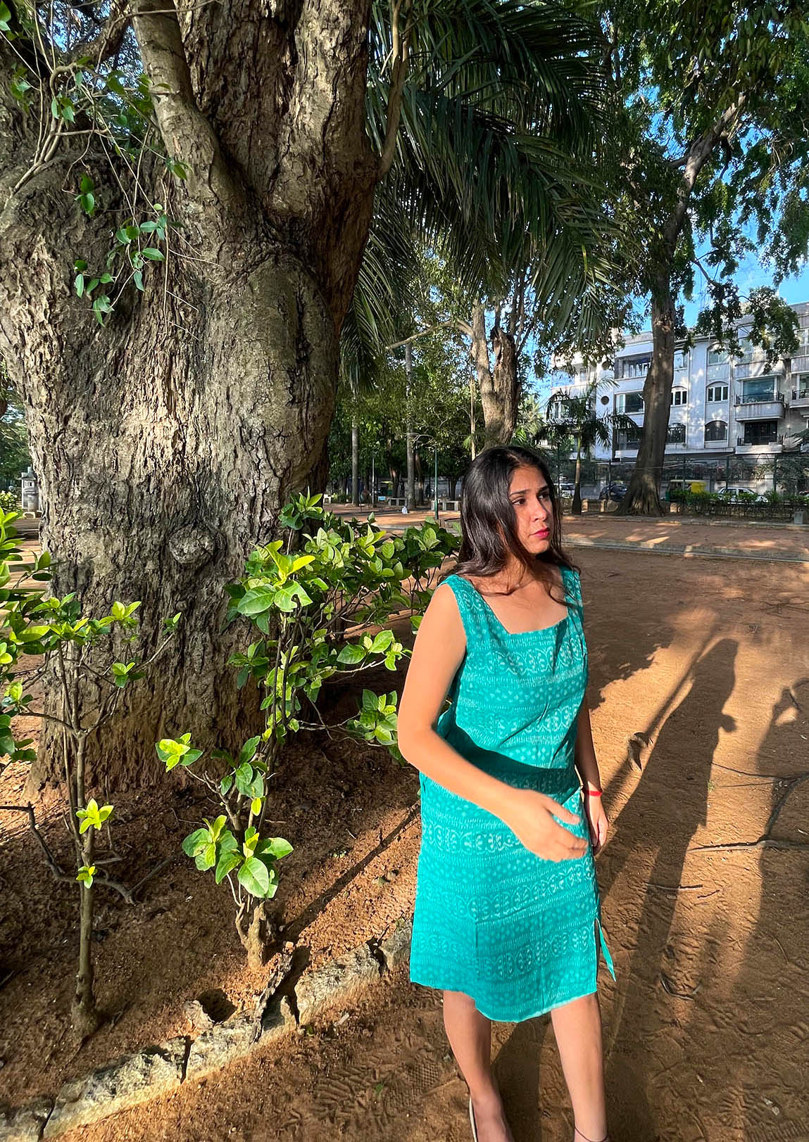 Surfer Line Dress // Ikat